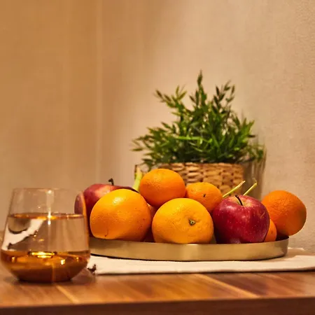 Luxury Cozy Modern Σόφια